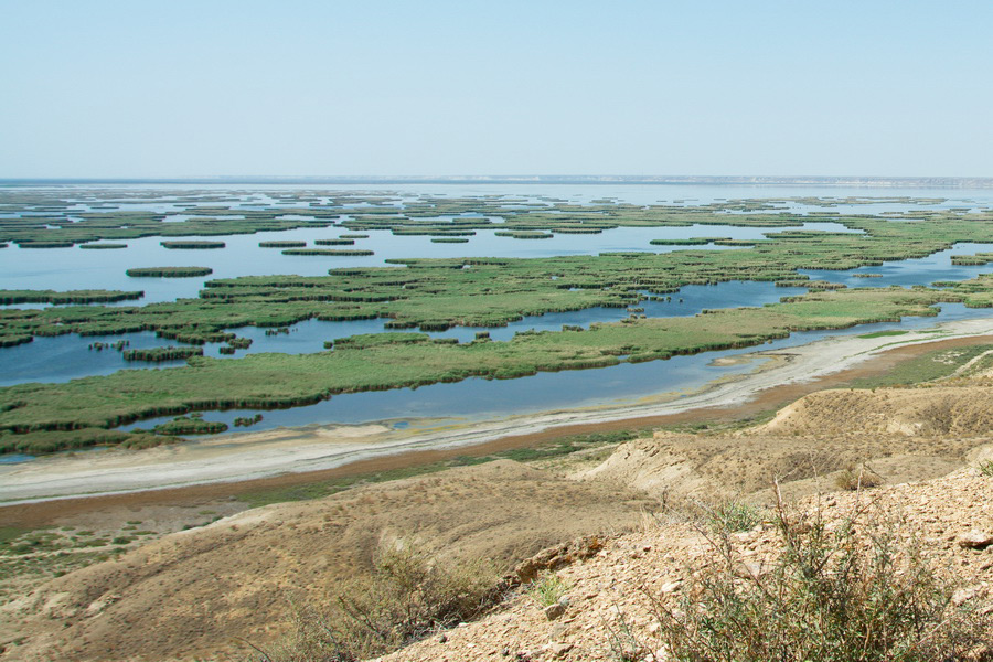 Sudochye-See, Aralsee