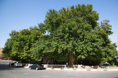 Boysun, Uzbekistán