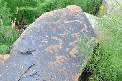 Beldersay petroglyphs, Uzbekistan