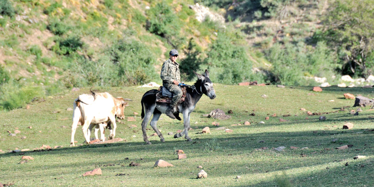 Beldersay Tours, Uzbekistan