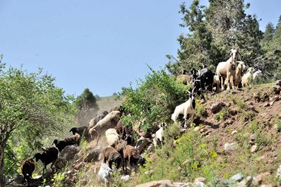 Beldersay, l’Ouzbékistan