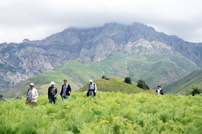 Best time to visit Uzbekistan. Spring