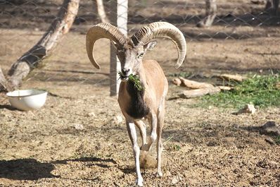 Ecocentro Jeyran