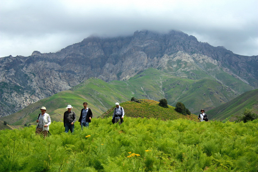 Chimgan Tours, Uzbekistan