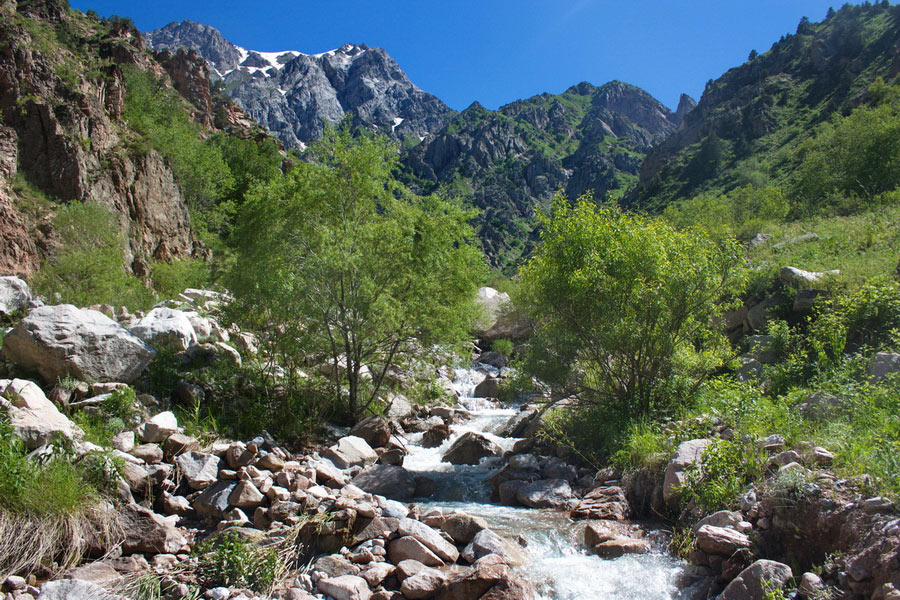 Гулькамские теснины, Чимган