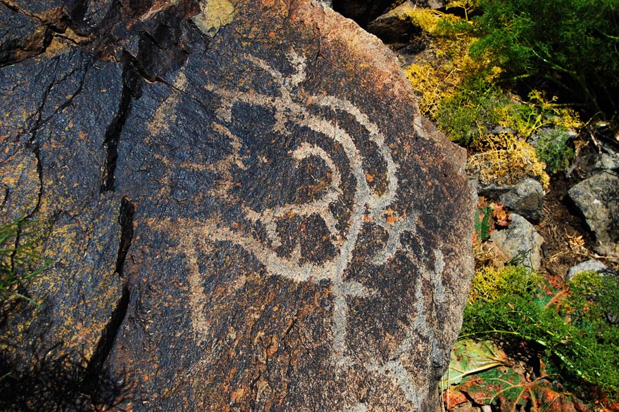 Beldersay Petroglyphs, near Tashkent