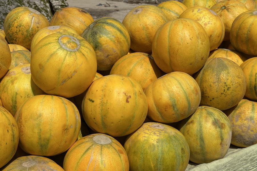 Melon Festival, Khiva