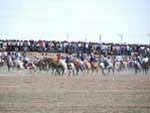  Uzbekistan Festivals