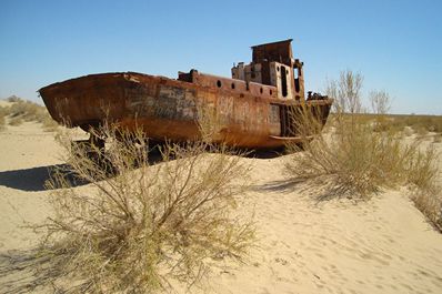 Aralkum, Uzbekistan