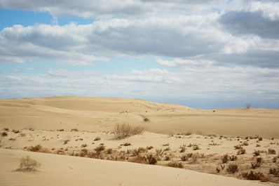 Kyzylkum, Uzbekistan