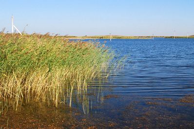 Aydarkul Lake, Uzbekistan