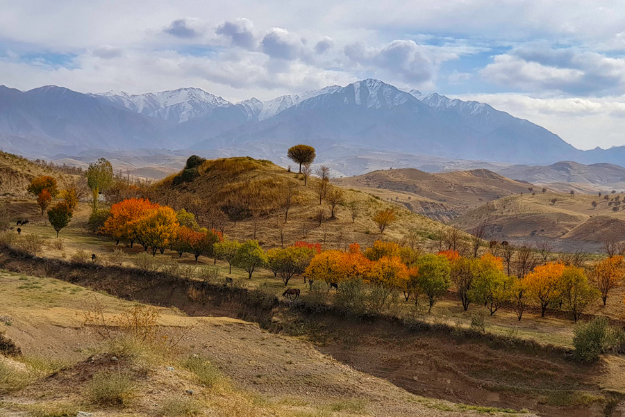 Hissar Range, Uzbekistan