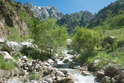 Uzbekistan rivers