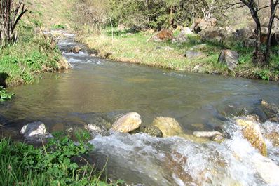 Uzbekistan rivers