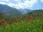 Montagnes Nurata, La maison d