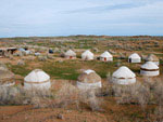 Safari yurt camp
