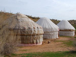 Yurts, Safari Yurt Camp