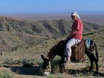 Riding on donkey, Yahshigul Guest House