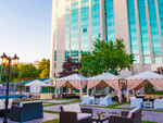 Summer Restaurant