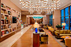 Lounge zone