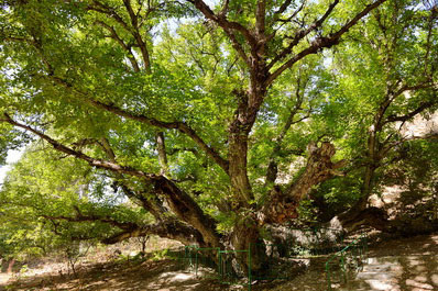 Zaamin tourism zone, Jizzakh