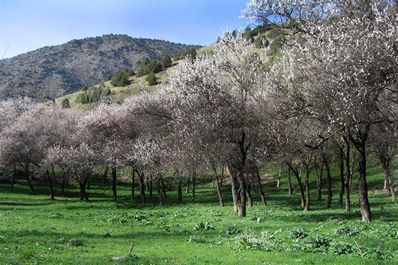 Zaamin tourism zone, Jizzakh