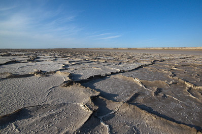 Barsa-Kelmes Salt Marsh, Karakalpakstan