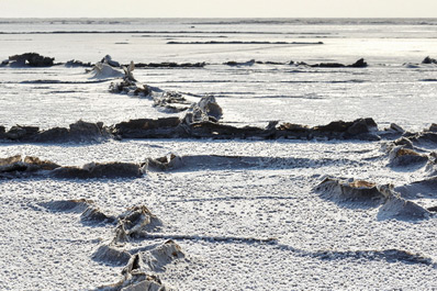 Barsa-Kelmes Salt Marsh, Karakalpakstan