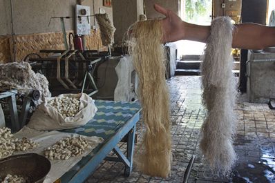 Manufacturing process in Yodgorlik Silk Factory, Margilan