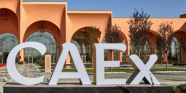 CAEx