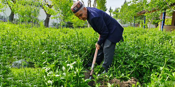Community Engagement and Social Responsibility