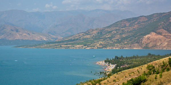 Tashkent Incentives