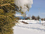 Tashkent in snow