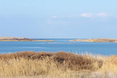 Lago Aydarkul, Nurata