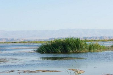 Lac Aydarkoul, Nourata, l`Ouzbékistan