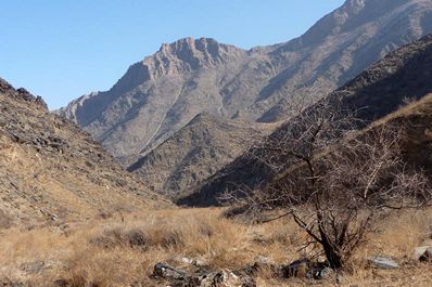 Nuratau Mountains