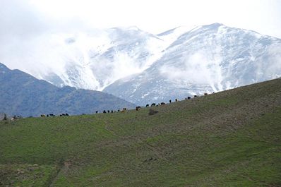 Нуратинский заповедник