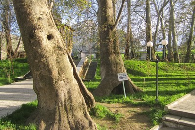 Giardino Chor-Chinor vicino a Samarcanda