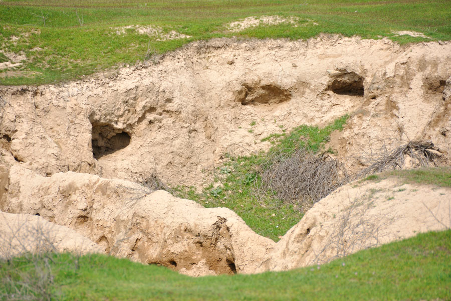 Ancient Settlement of Afrasiab, Samarkand
