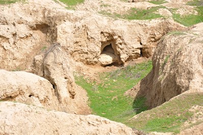 Ancient Settlement of Afrasiab