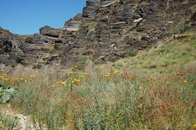 Sarmish-say Petroglyphs, Uzbekistan