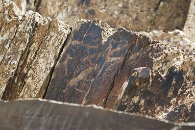 Sarmish-say Petroglyphs, Uzbekistan