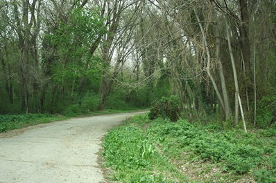 Jardín Botánico de Tashkent