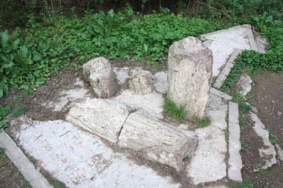 Jardín Botánico de Tashkent