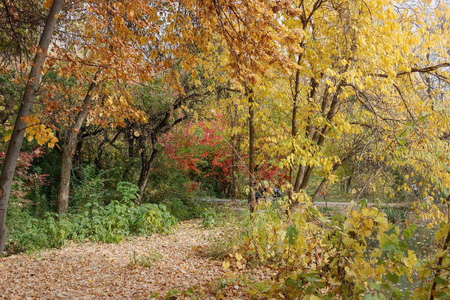 Tashkent Botanical Garden