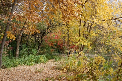 Jardín Botánico de Tashkent