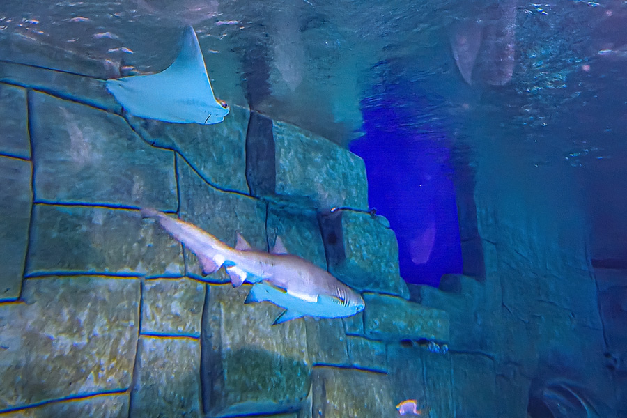 Magic Aquarium, Magic City, Tashkent Magic Aquarium, Magic City, Tashkent