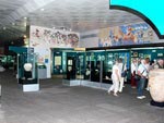 Musée d’histoire de l’Ouzbékistan, Tachkent