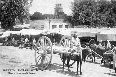 Photos of Old Tashkent