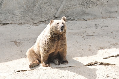 Tachkent Zoo